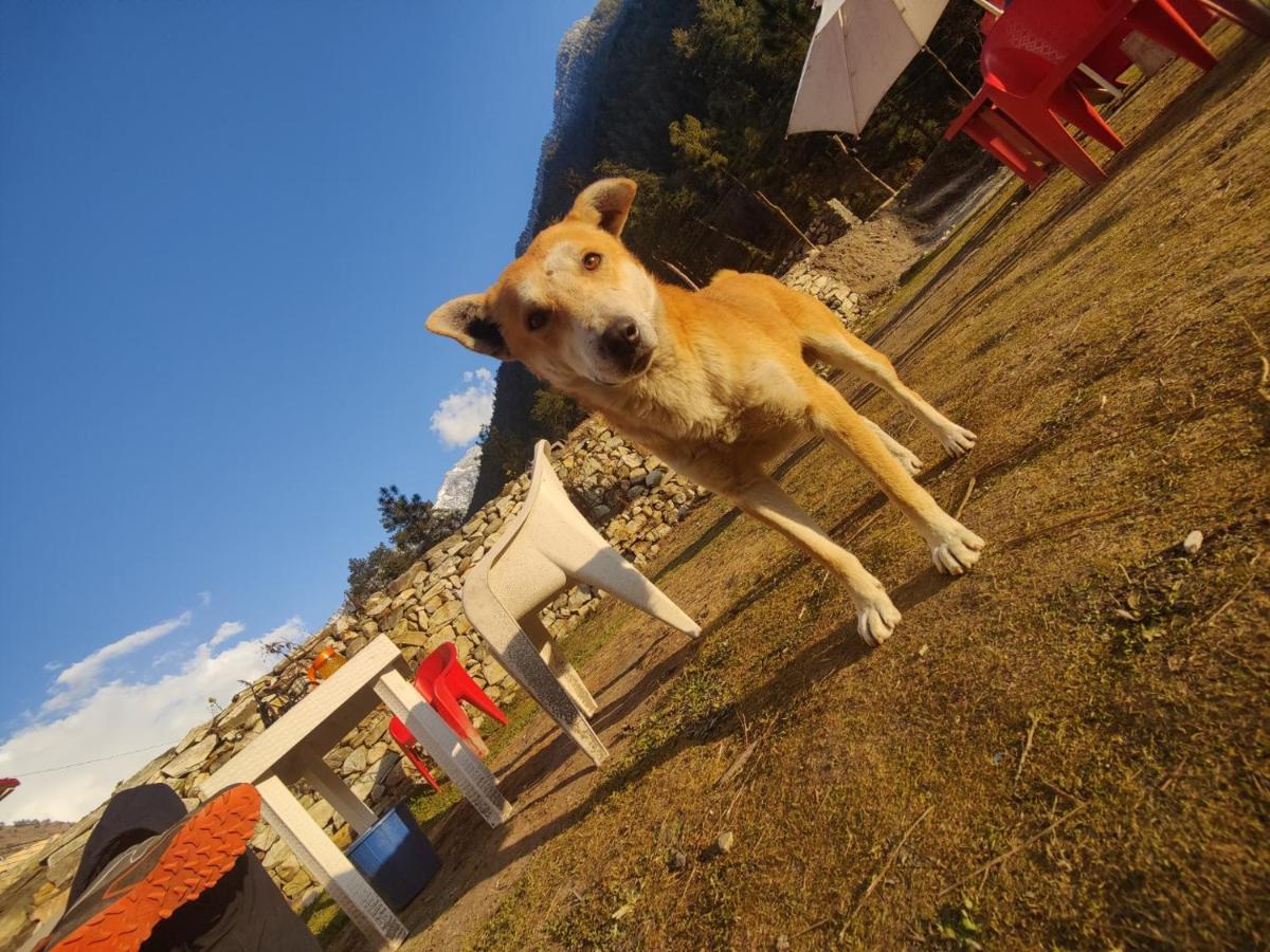 Breathe Inn Kasol Zewnętrze zdjęcie